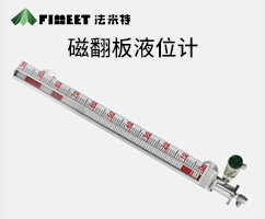 法米特磁翻板液位计（型号：FMY-SG）